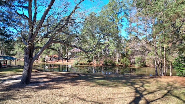 view of yard featuring a water view