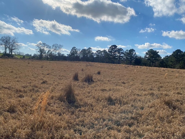 view of local wilderness featuring a rural view