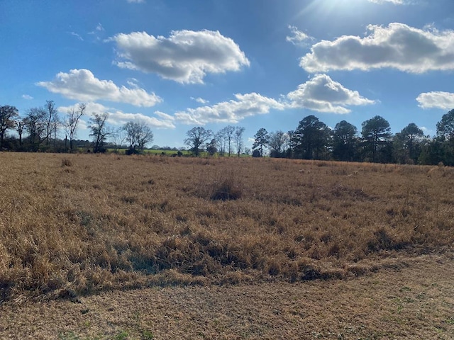 view of local wilderness featuring a rural view