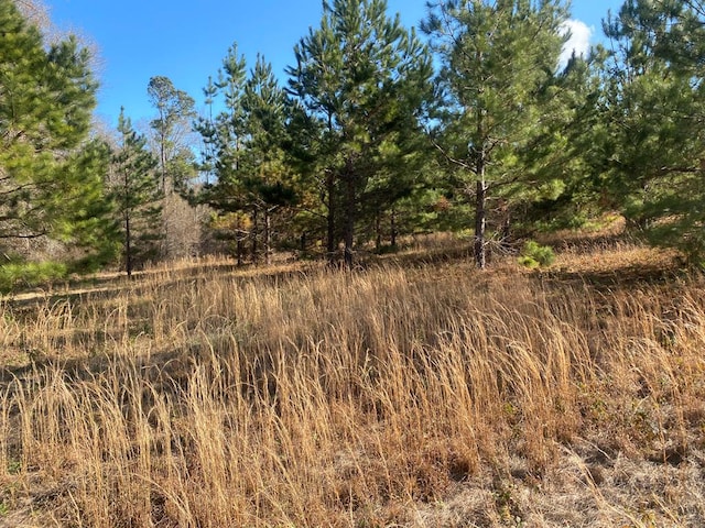 view of local wilderness