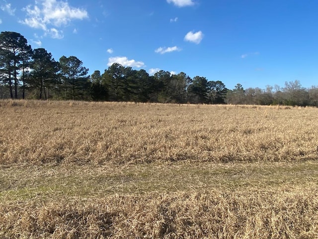 view of local wilderness with a rural view