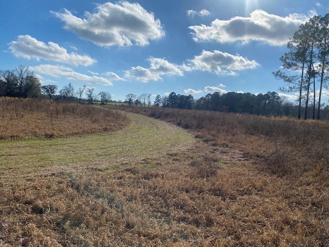 view of nature with a rural view