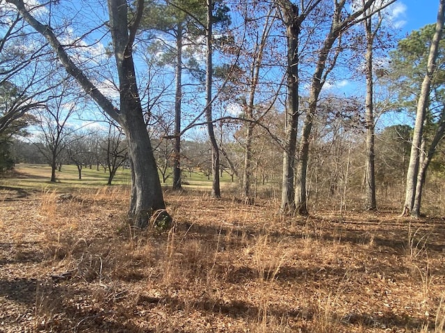 view of landscape