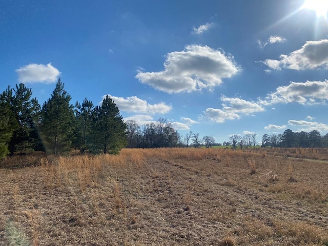 view of local wilderness featuring a rural view