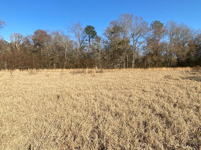 view of nature with a rural view