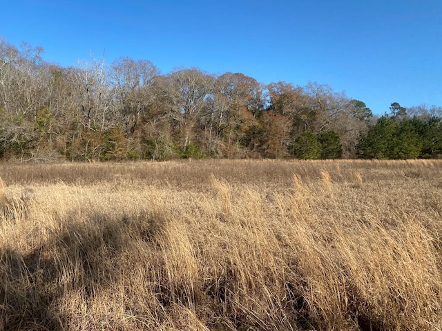 view of local wilderness with a rural view