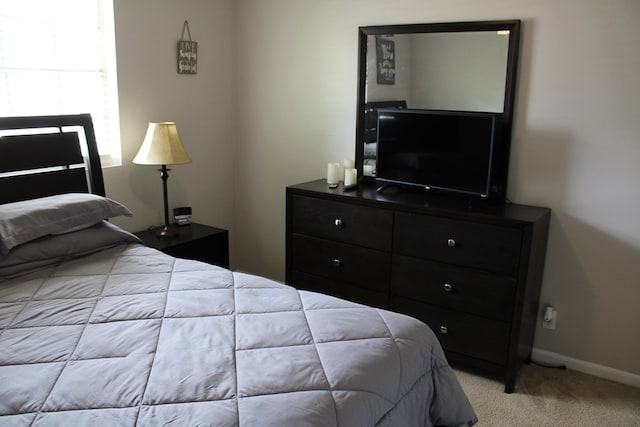 101F Country Club Dr, Americus, GA 31709 - bedroom with carpet floors and baseboards