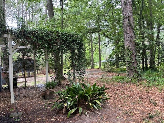 169 Wanda Rd, Cordele, GA 31015 - view of yard