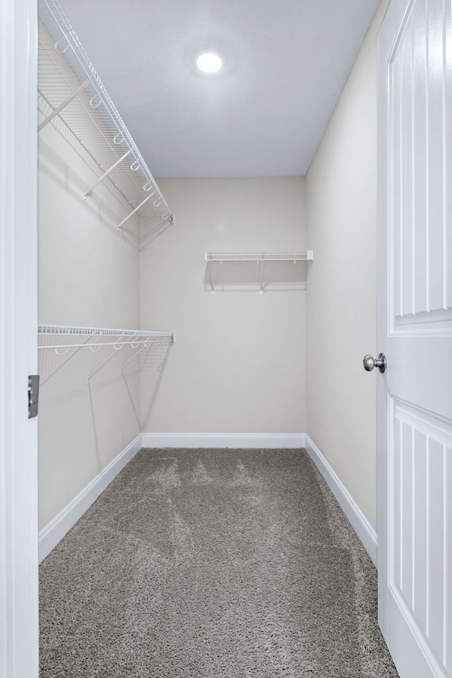 walk in closet featuring carpet floors