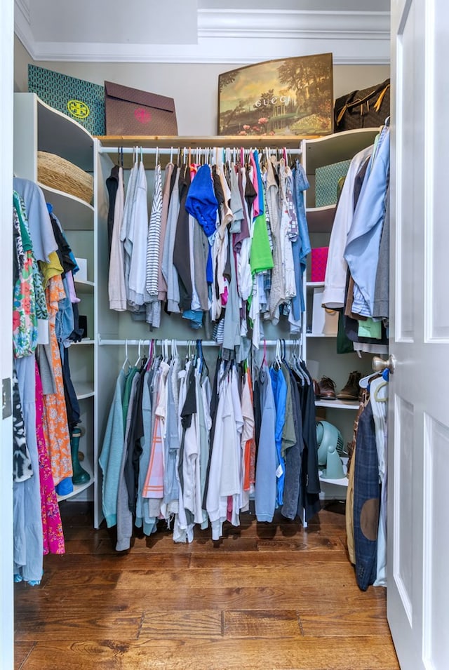 walk in closet featuring hardwood / wood-style flooring