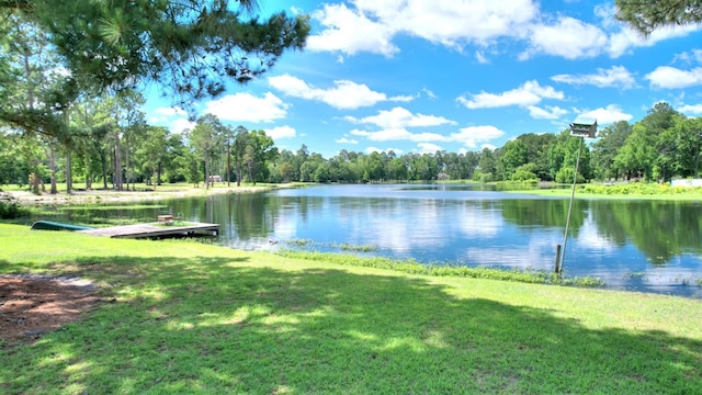 view of water feature