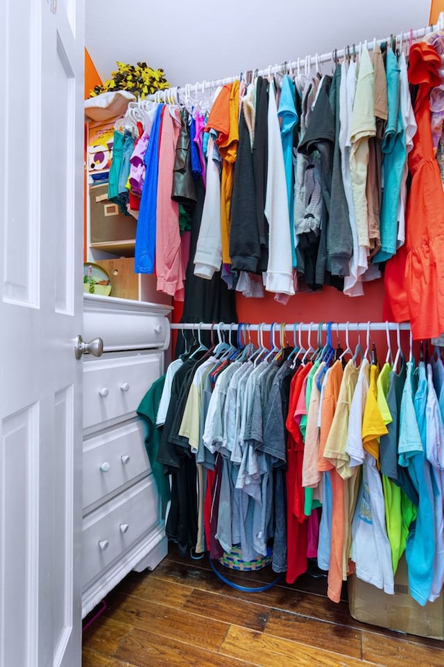 spacious closet featuring dark wood-type flooring