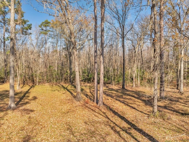 view of yard featuring a forest view