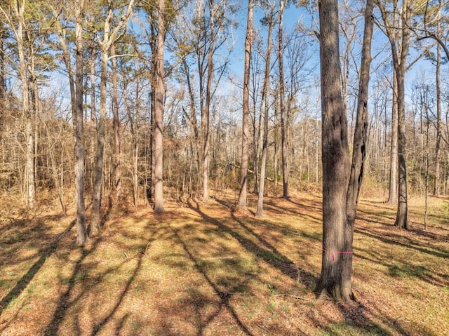 TBD Sawdust Trail, Cobb, GA 31735 - photo 23
