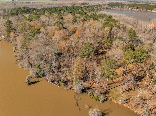 bird's eye view with a water view and a view of trees