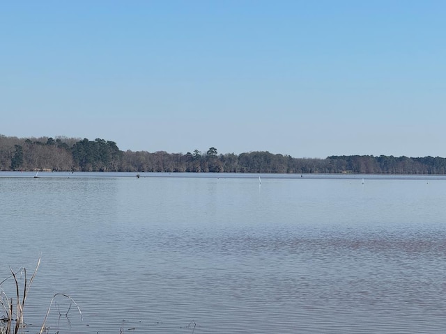 view of water feature with a wooded view