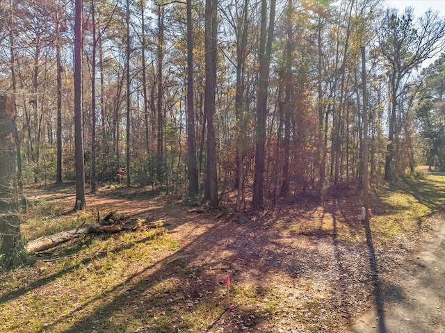 view of road with a wooded view