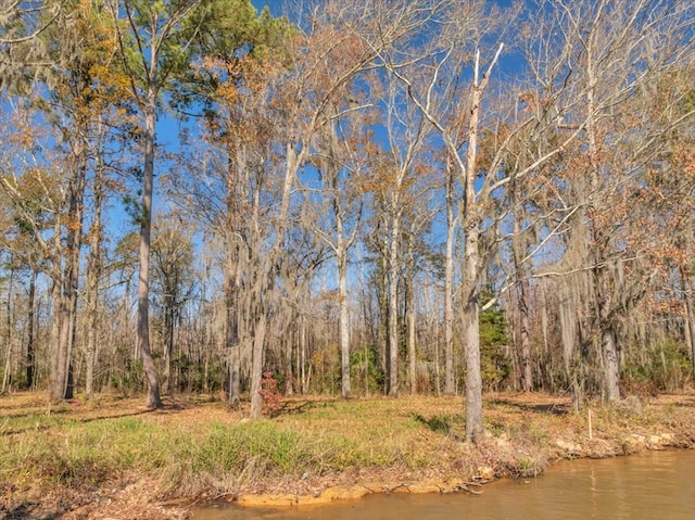 view of nature featuring a wooded view