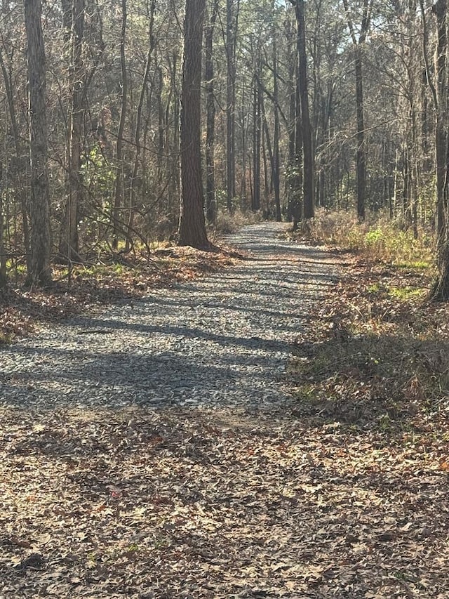 view of road featuring a view of trees