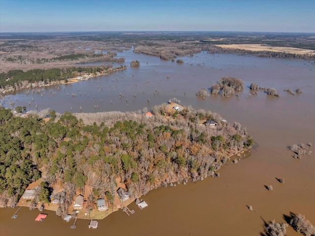 bird's eye view featuring a forest view and a water view