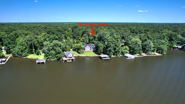 birds eye view of property featuring a water view and a wooded view