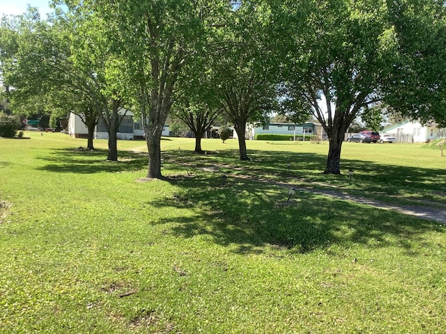 2298 S US Highway 41, Cordele, GA 31015 - photo 33