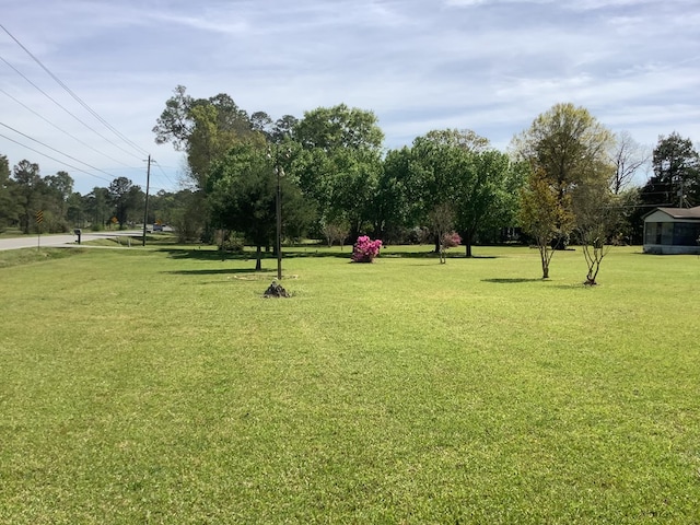 2298 S US Highway 41, Cordele, GA 31015 - photo 35