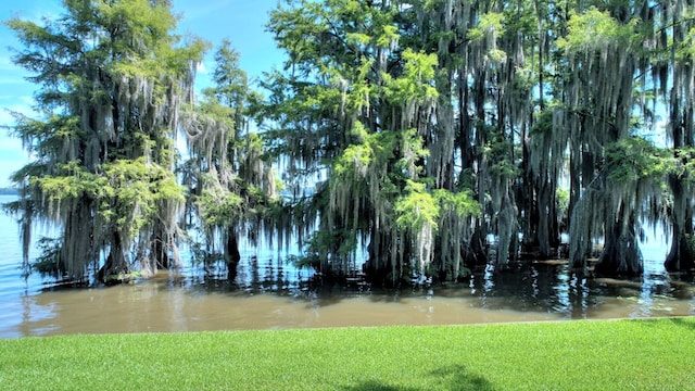 surrounding community featuring a water view