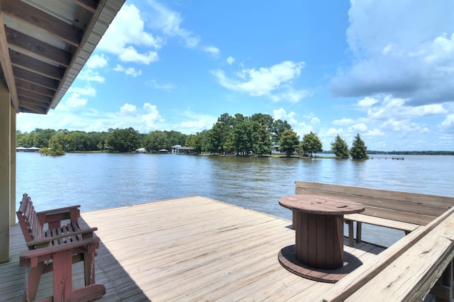 dock area with a water view