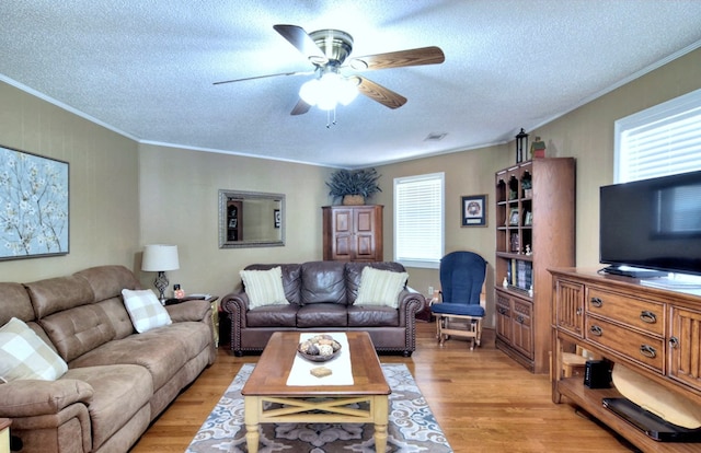 living room featuring ornamental molding, a healthy amount of sunlight, light hardwood / wood-style flooring, and a textured ceiling