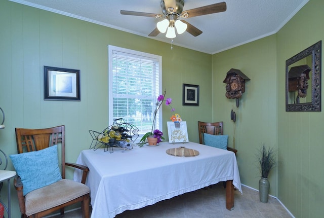 bedroom with crown molding, a textured ceiling, and ceiling fan