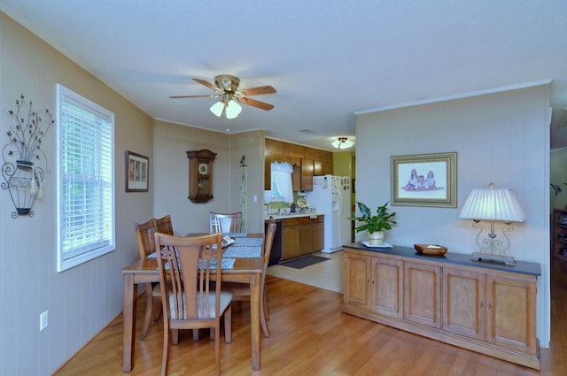 dining space featuring ornamental molding, ceiling fan, and light hardwood / wood-style flooring