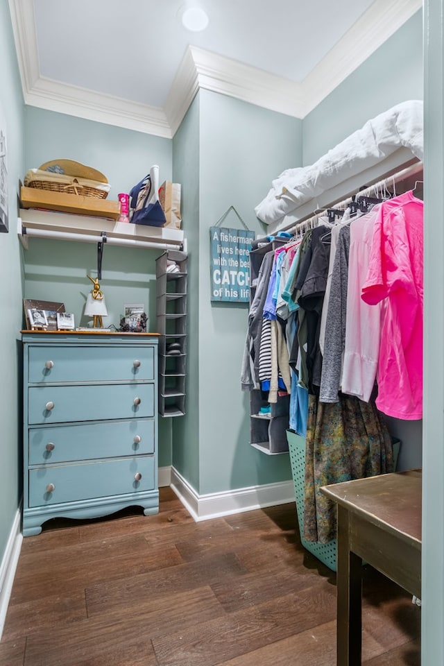 spacious closet with dark wood-style floors