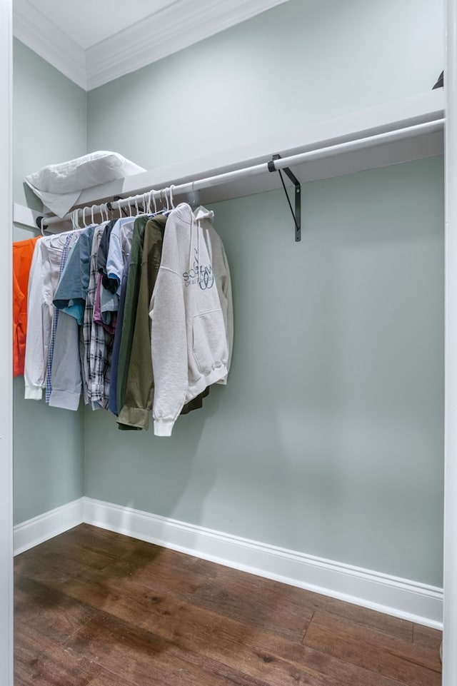 spacious closet featuring wood finished floors