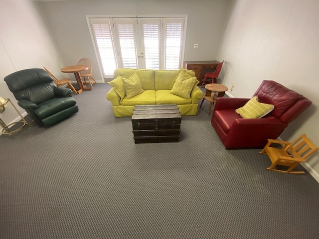 living room with carpet