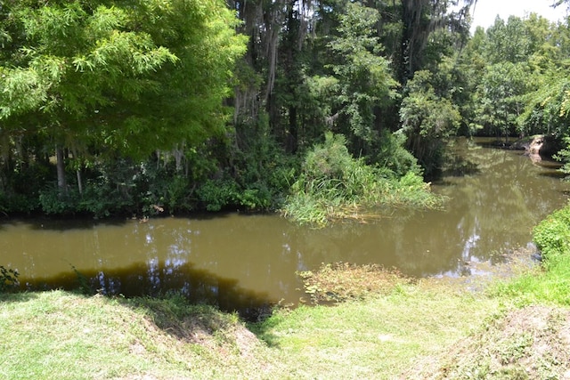 114 Water Front Dr, Cobb, GA 31735 - photo 21