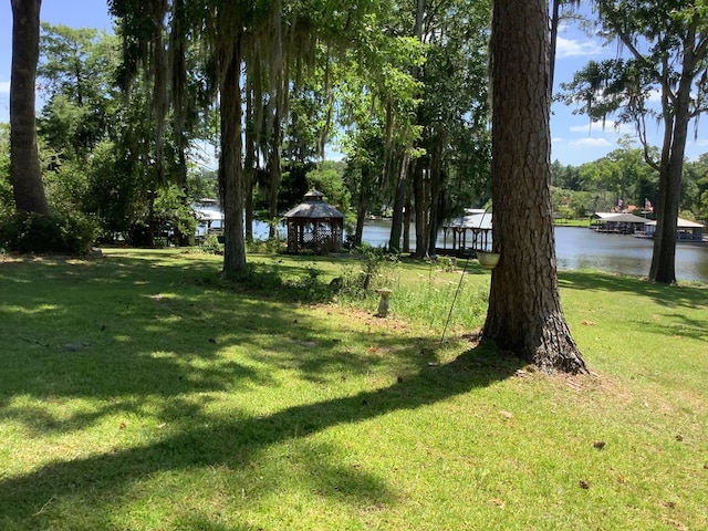466 Scenic Rt, Cordele, GA 31015 - photo 15