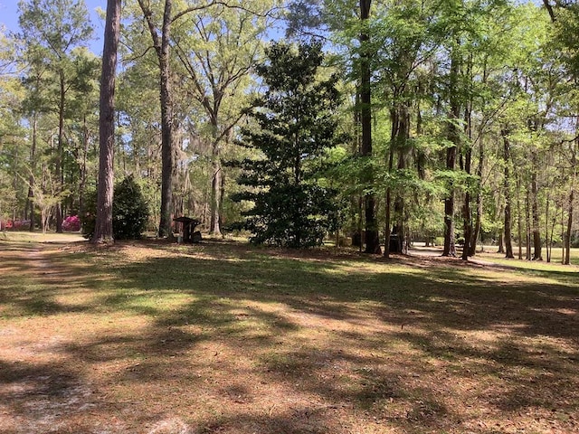 466 Scenic Rt, Cordele, GA 31015 - photo 6