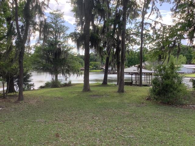 466 Scenic Rt, Cordele, GA 31015 - photo 12