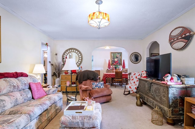 carpeted living room with crown molding and a textured ceiling