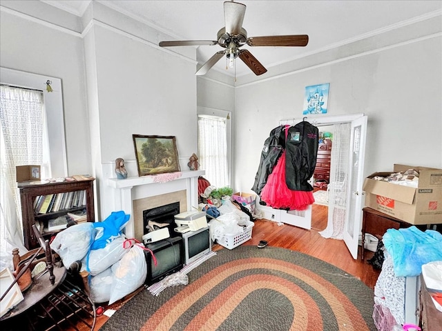 interior space featuring ceiling fan, hardwood / wood-style flooring, and crown molding