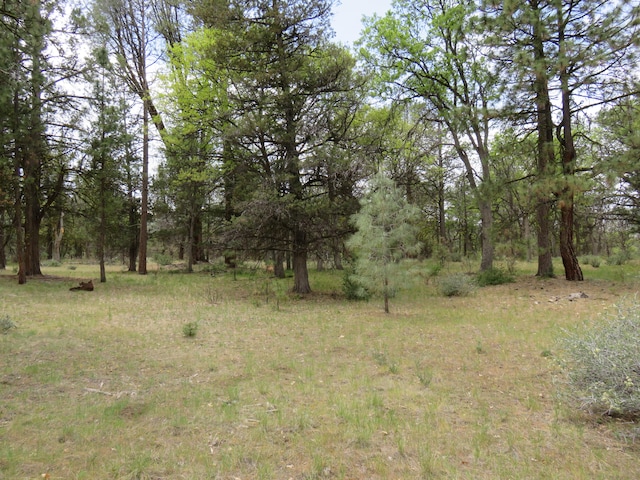 LOT58 Shoshoni Loop, Fall River Mills CA, 96028 land for sale