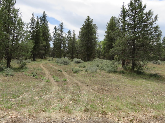 Listing photo 2 for LOT58 Shoshoni Loop, Fall River Mills CA 96028