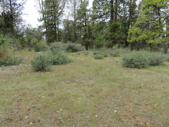 Listing photo 3 for LOT58 Shoshoni Loop, Fall River Mills CA 96028