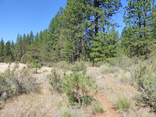 W Ponderosa Dr, Lookout CA, 96054 land for sale