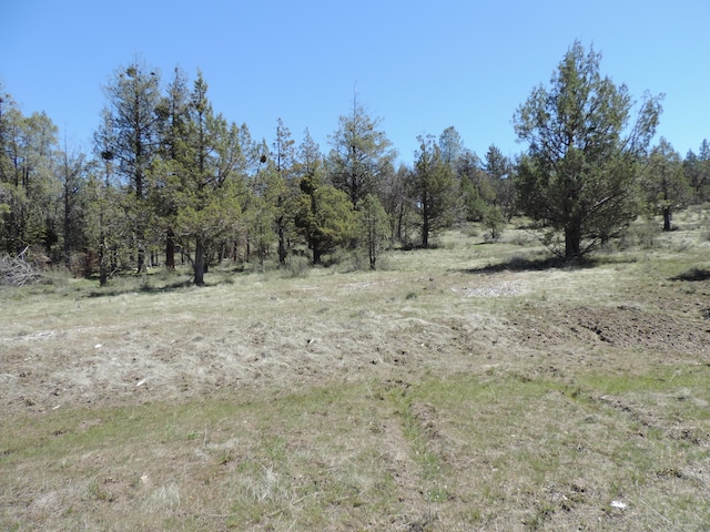 LOT48 Natchez Ct, Fall River Mills CA, 96028 land for sale