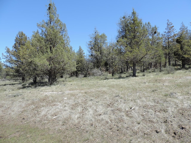 Listing photo 2 for LOT48 Natchez Ct, Fall River Mills CA 96028