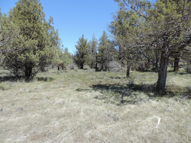 Listing photo 3 for LOT48 Natchez Ct, Fall River Mills CA 96028