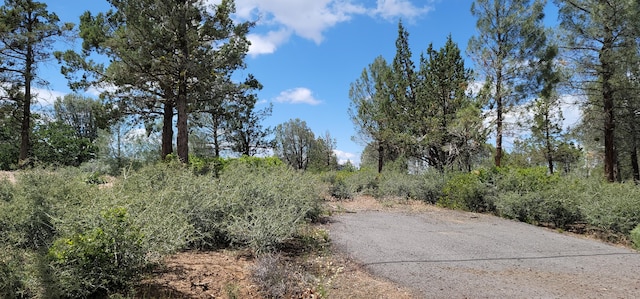 LOT11 Cassel Fall River Rd, Fall River Mills CA, 96028 land for sale