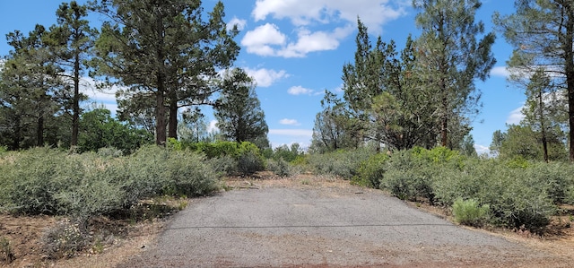 Listing photo 2 for LOT11 Cassel Fall River Rd, Fall River Mills CA 96028